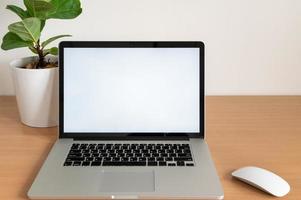 Blank screen of Laptop computer with Fiddle fig tree pot on wooden table photo