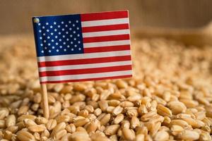 Grains wheat with USA America flag, trade export and economy concept. photo