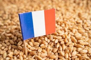 Grains wheat with France flag, trade export and economy concept. photo