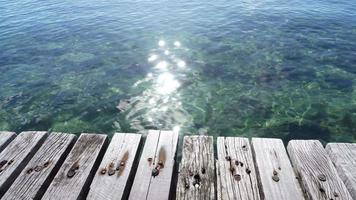 trä textur på utomhus strand havet på sommaren. video