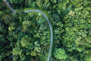 Aerial view of green summer tree and forest with a road photo