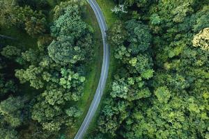 Aerial view of green summer tree and forest with a road photo