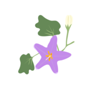 fleur d'aubergine sur fond transparent png