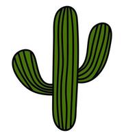 Hand drawn isolated green cactus. Vector doodle cactus sticker illustration clipart