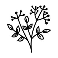 Outline branch with leaves and berries isolated. Vector doodle illustration of a tree twig