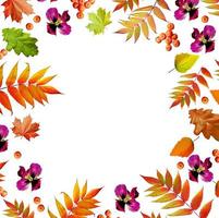 autumn leaves isolated on white background. photo