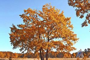 autumn landscape with bright colorful foliage. Indian summer. photo