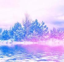 Frozen winter forest with snow covered trees. photo