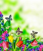 floral background. Nature. photo