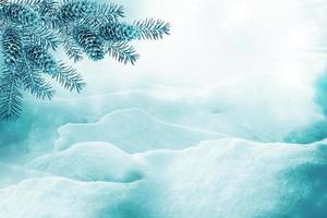 Frozen winter forest with snow covered trees. photo