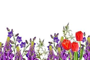 Flowers bells isolated on white background photo