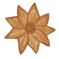 fleur aquarelle élément clipart png