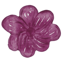 fleur aquarelle élément clipart png