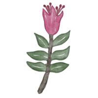 fleur aquarelle élément clipart png