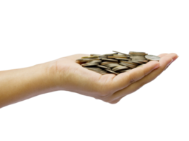 hand holding many coins png
