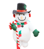 Cute snowman doll png