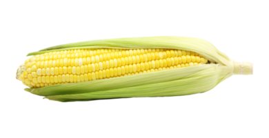 een maïs png