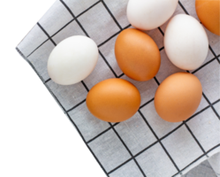 Chicken and Duck Eggs png