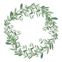 Watercolor olive wreath. Isolated illustration on white background. vector