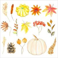 acuarela otoño conjunto de hojas, flores, ramas y calabaza aislado vector