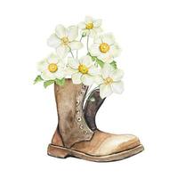 Bouquets of white anemones in a vintage boot . Hand drawn watercolor illustration vector