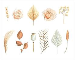 Watercolor  set with dry dried boho palm leaves and pampas grass, flowers . Floral illustration for design, print. vector