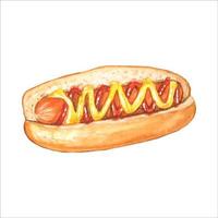 Hot dog.Watercolor hand drawn illustration vector