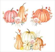 Set of hand drawn watercolor pumpkins, autumn illustration vector