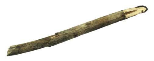 log wood isolate on transparent background png file