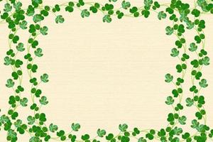 green clover leaves. St.Patrick 's Day. trefoil photo