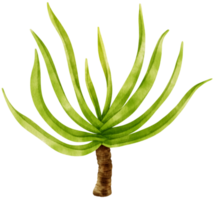ilustración de acuarela de planta tropical suculenta png