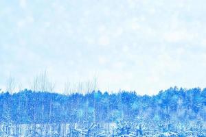 Frozen winter forest with snow covered trees. photo