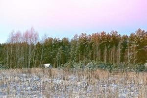 The village in winter forest photo