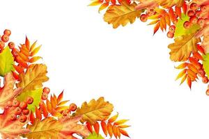 Colorful autumn foliage isolated on white background. Indian summer. photo