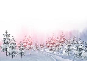 forest in the frost. Winter landscape. Snow covered trees photo