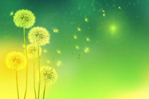 Fluffy dandelion flower against the background of the summer landscape. photo