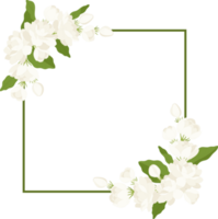 Wreath of jasmine flower illustration. png
