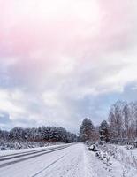 winter forest. Nature. photo