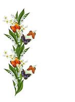 branch of flowers and butterflies isolated on a white background photo