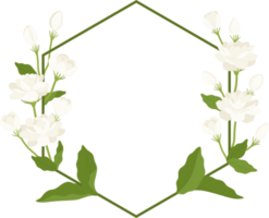 Wreath of jasmine flower illustration. png