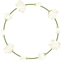 coroa de flores de jasmim ilustração. png