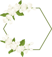 Wreath of jasmine flower illustration. png