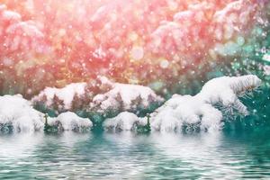 Blurred christmas background. Trees in the snow. Winter Forest photo