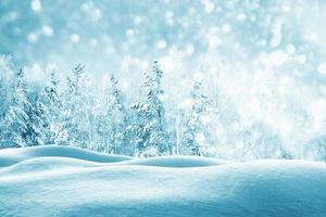 Frozen winter forest with snow covered trees. photo