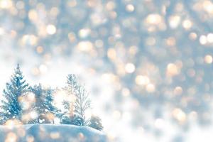 árboles cubiertos de nieve. Feliz navidad y próspero año nuevo foto