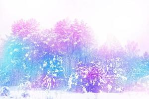 forest in the frost. Winter landscape. Snow covered trees. photo