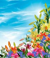 lily flowers on a background of blue sky with clouds photo