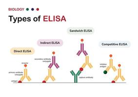 diagrama de biología molecular tipo actual del ensayo inmunoabsorbente ligado a enzimas o elisa vector