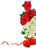 red roses isolated on white background photo