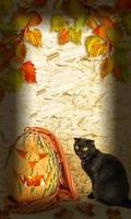 tarjeta de halloween. gato negro y calabaza naranja. foto
